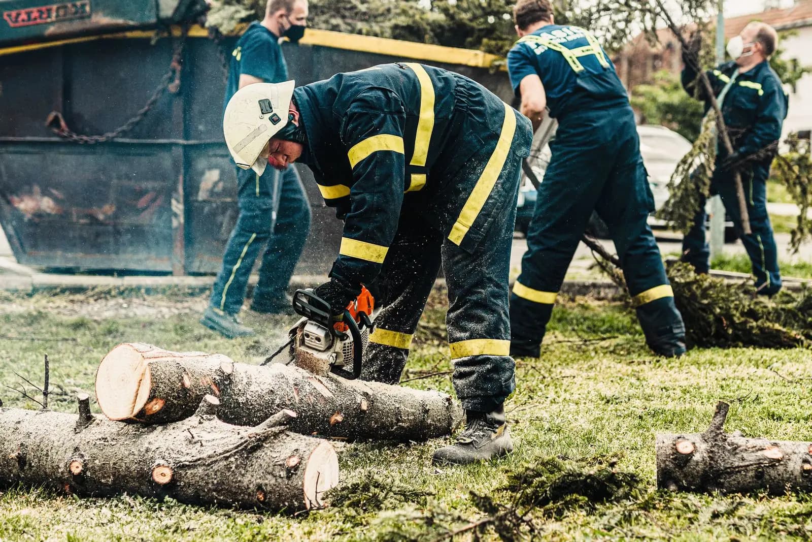 Crew cutting a felled trunk into logs on a lawn